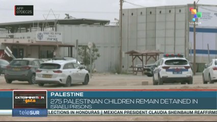 275 palestinian children remain detained in Israeli prisons