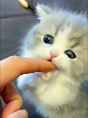 @the cutest girls in the world, come see this 😻💖