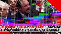 🔥🚨¡PRI SE CUELGA DEL CAFÉ! ¡'GATA de ALITO' es HECHA TRIZAS por 'EL ALUMNO DE NOROÑA'!