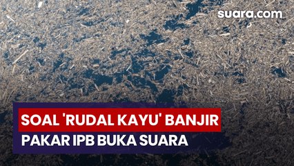 3 Fakta di Balik 'Rudal Kayu' Banjir Bandang Sumatera Oleh Pakar IPB