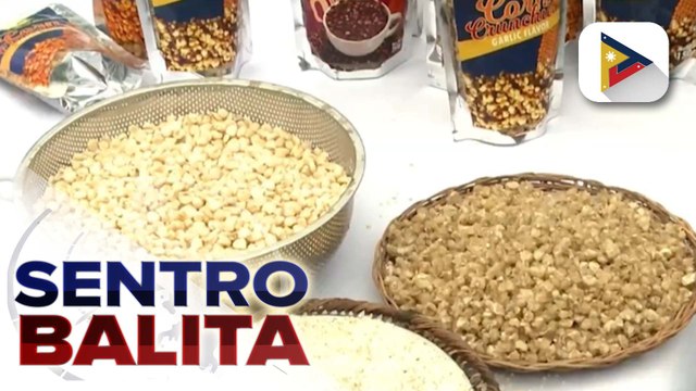 Industriya ng white corn sa Cagayan, patuloy na pinatatatag ng D.A.; mga magsasaka, hinahanapan ng market ng D.A. sa ilalim ng Sagip Saka Act | ulat ni Vel Custodio