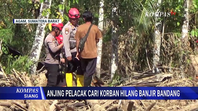 Anjing Pelacak K9 Gugur saat Bantu Pencarian Korban Bencana | KOMPAS SIANG