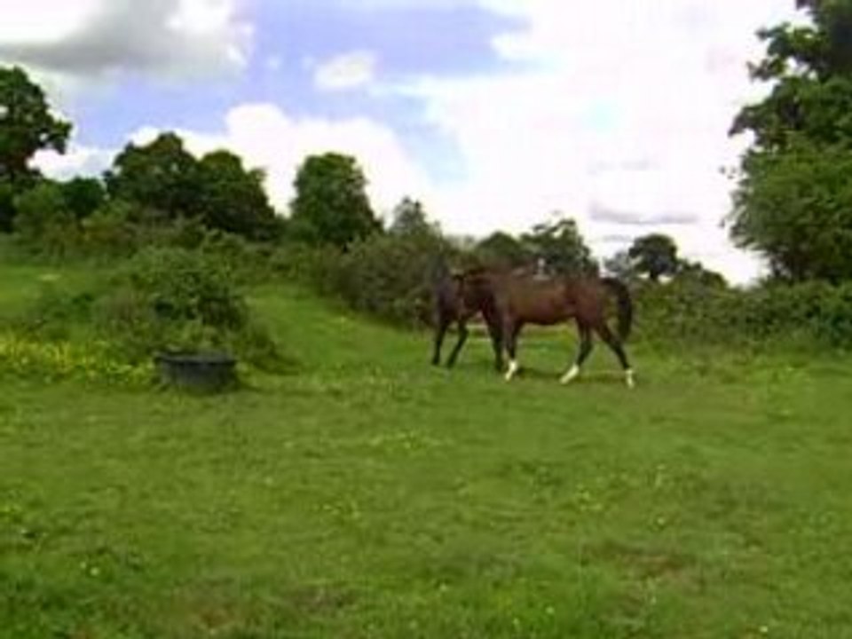 CLIP0071