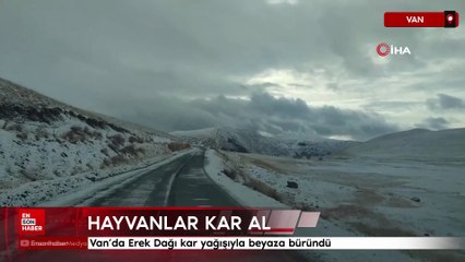 Van’da Erek Dağı kar yağışıyla beyaza büründü