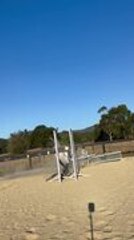 Horse Falls Over Fence During Free Jump Attempt