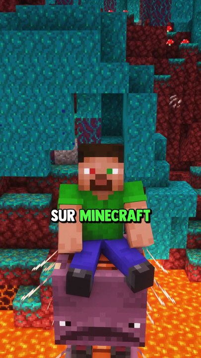 Devine le FAUX secret sur Minecraft 🤔