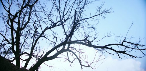 Ghost Blows Out The Light: Finding Hu Ba Yi (2017) Ep 07 [Eng Sub]