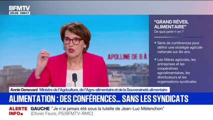 Pour Annie Genevard, ministre de l'Agriculture, "ce n'est pas possible de signer" le Mercosur en l'état