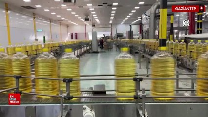 Türkiye’nin ayçiçek yağı ihracatı 1 milyar dolara yaklaştı