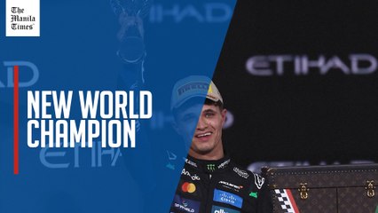 Norris takes F1 title as Verstappen wins Abu Dhabi race