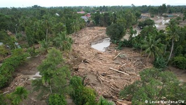 Sumatra landslide survivors criticize deforestation, monoculture