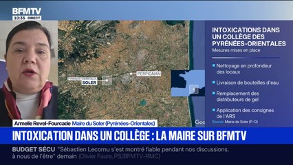 "Nous avons 400 enfants malades": un collège des Pyrénées-Orientales frappé par une intoxication