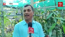 ১৮ হাজাৰ সামগ্ৰীত ব্যৱহাৰ হোৱা ভেনিলাৰ খেতিৰে লাভৱান এইখন অসমৰে এজন কৃষক