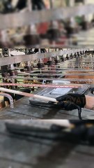 1000w    carbon fiber heat lamp oven 1000w    infrared heating lamp half white