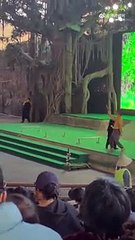 Un osos atacó a su "cuidador"