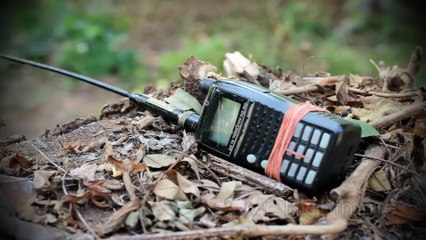 5 Disturbing TRUE Stories With Photos Included