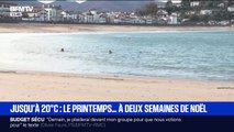 Des baigneurs profitent de l'épisode de douceur à Saint-Jean-de-Luz