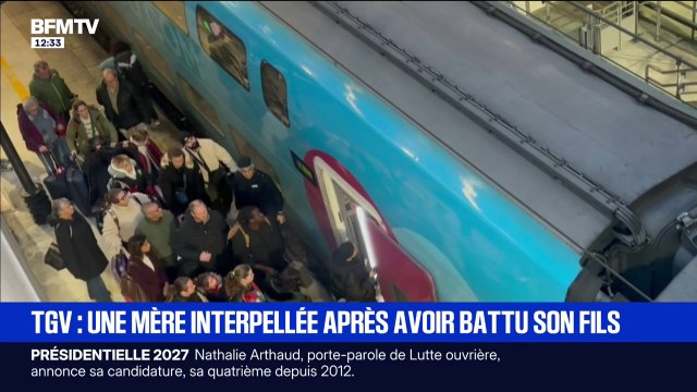 Une mère interpellée après avoir battu son fils de 6 ans dans un TGV