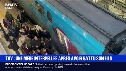 Une mère interpellée après avoir battu son fils de 6 ans dans un TGV