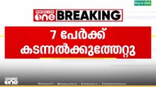 പാലോടിൽ ഏഴ് തൊഴിലുറപ്പ് തൊഴിലാളികൾക്ക് കടന്നൽക്കുത്തേറ്റു