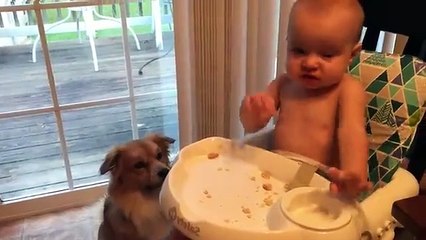 Cutest Babies Play With Dogs And Cats