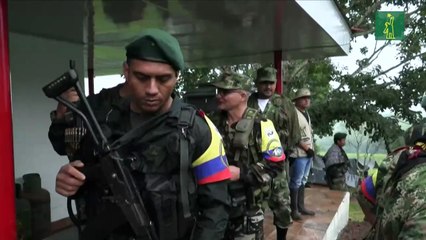 Petro dice que acusará al guerrillero más buscado de Colombia ante el IPC