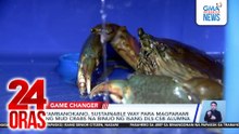 Tambanokano, sustainable way para magparami ng mud crabs na binuo ng isang DLS-CSB alumna | 24 Oras