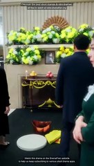 Justice for My Sister Chinese Drama - English Sub