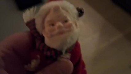 Maine Coon Cat Keeps Knocking Toy Santa Off Counter