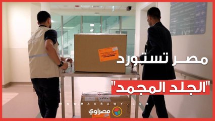 مصر تستورد أول شحنة من "الجلد المجمد" لعلاج الحروق