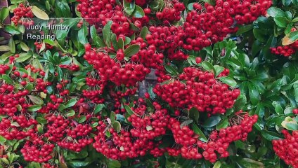 Love Your Weekend with Alan Titchmarsh S07E33