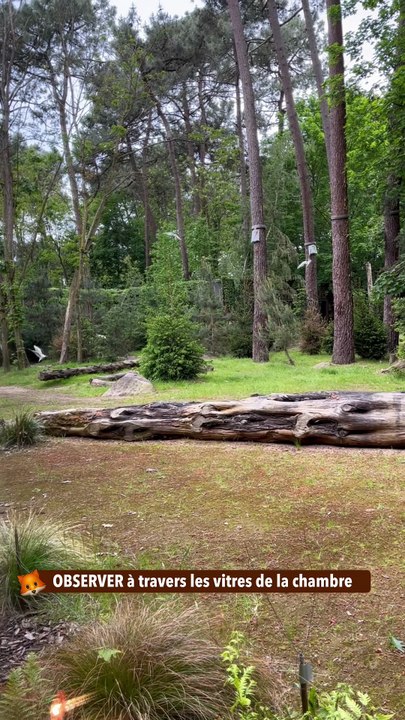 OBSERVER à travers les vitres de la chambre