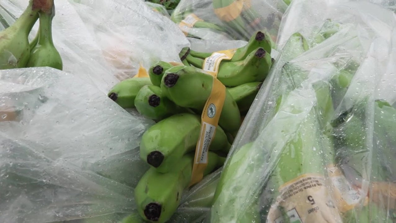 Bizarre moment bananas wash up on UK beach