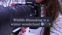 Wildlife filmmaking in a snow filled winter wonderland ✨🥹 #adventureexploring