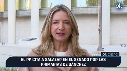 El PP cita a Salazar en el Senado por las Primarias de Sánchez