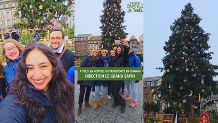 À vélo, en voiture, en transports en commun, direction le grand sapin