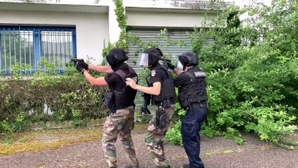 Comment ça marche une brigade cynophile