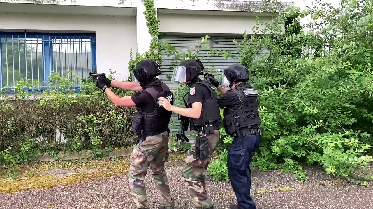 Comment ça marche une brigade cynophile