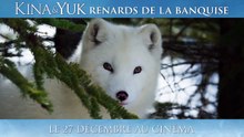 Kina & Yuk: Renards de la banquise: Trailer HD