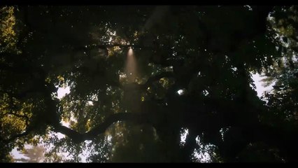 Dune Parte Dos Trailer (2)