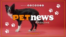 PetNews Magazine - 8/12/2025