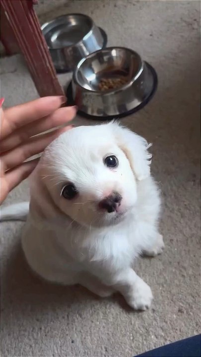 Cuteness.... ❣️❤️❤️❤️