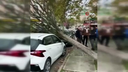 Bursa’da ağaç devrildi! Korku dolu anlar kamerada...