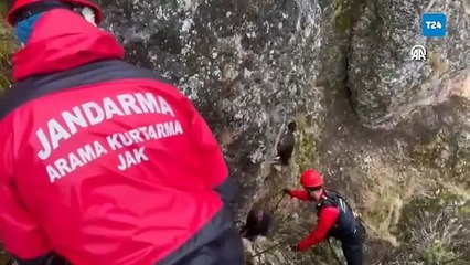 Kayalıklarda mahsur kalan keçileri JAK ve AFAD ekipleri kurtardı