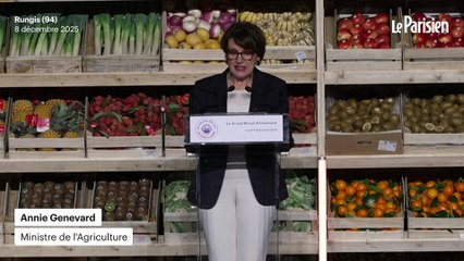 Souveraineté alimentaire : « La guerre agricole se prépare », affirme la ministre Annie Genevard