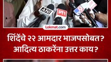 शिंदेंच्या २२ आमदारांबाबत मुख्यमंत्र्यांचं मोठं विधान