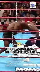 Mike Tyson's INFAMOUS ear BITE! Referee IGNORED Holyfield's FOULS!