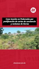 Crece tension en Pedernales por proliferacion de cartas de constancia y reclamos de tierras
