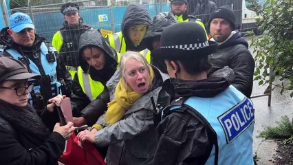 Protest footage from Trelawney trees felling