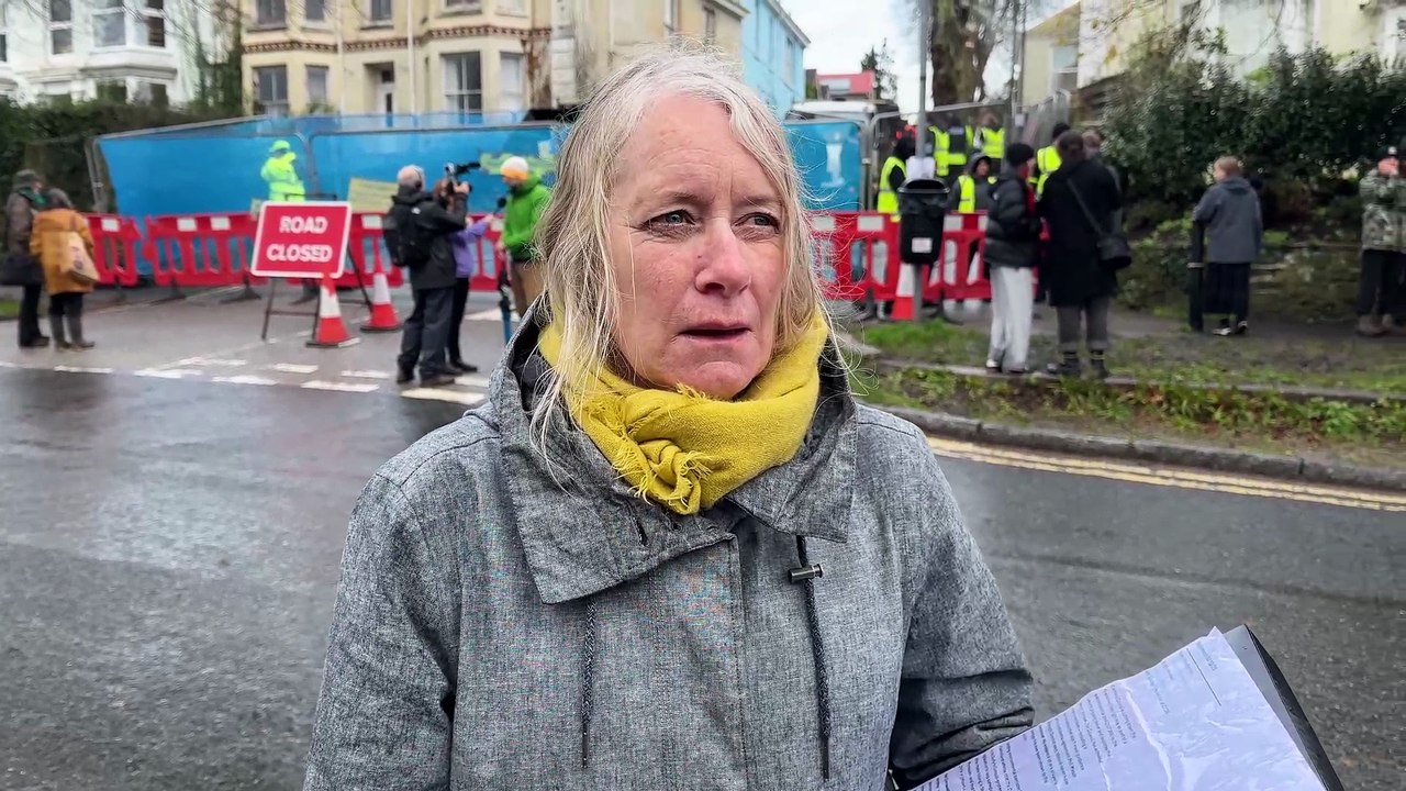 Protester interview Trelawney trees